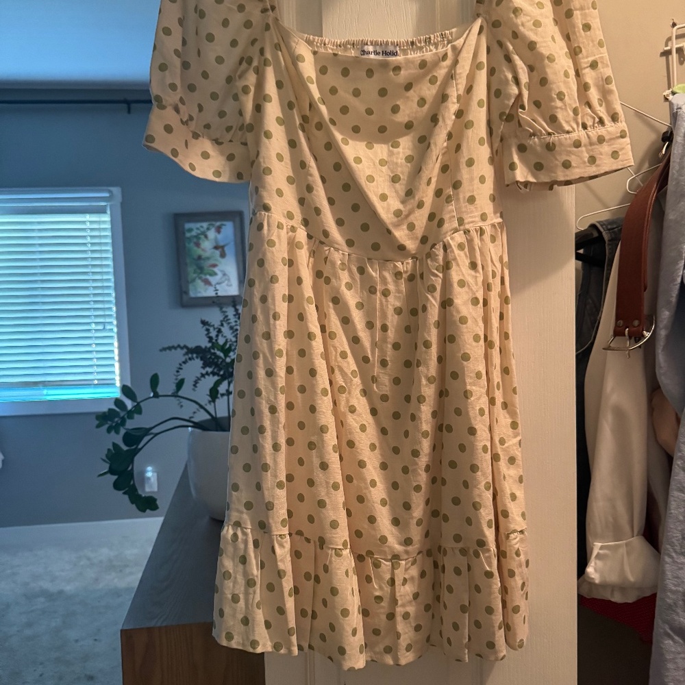 BNWOT Charlie Holiday Dress